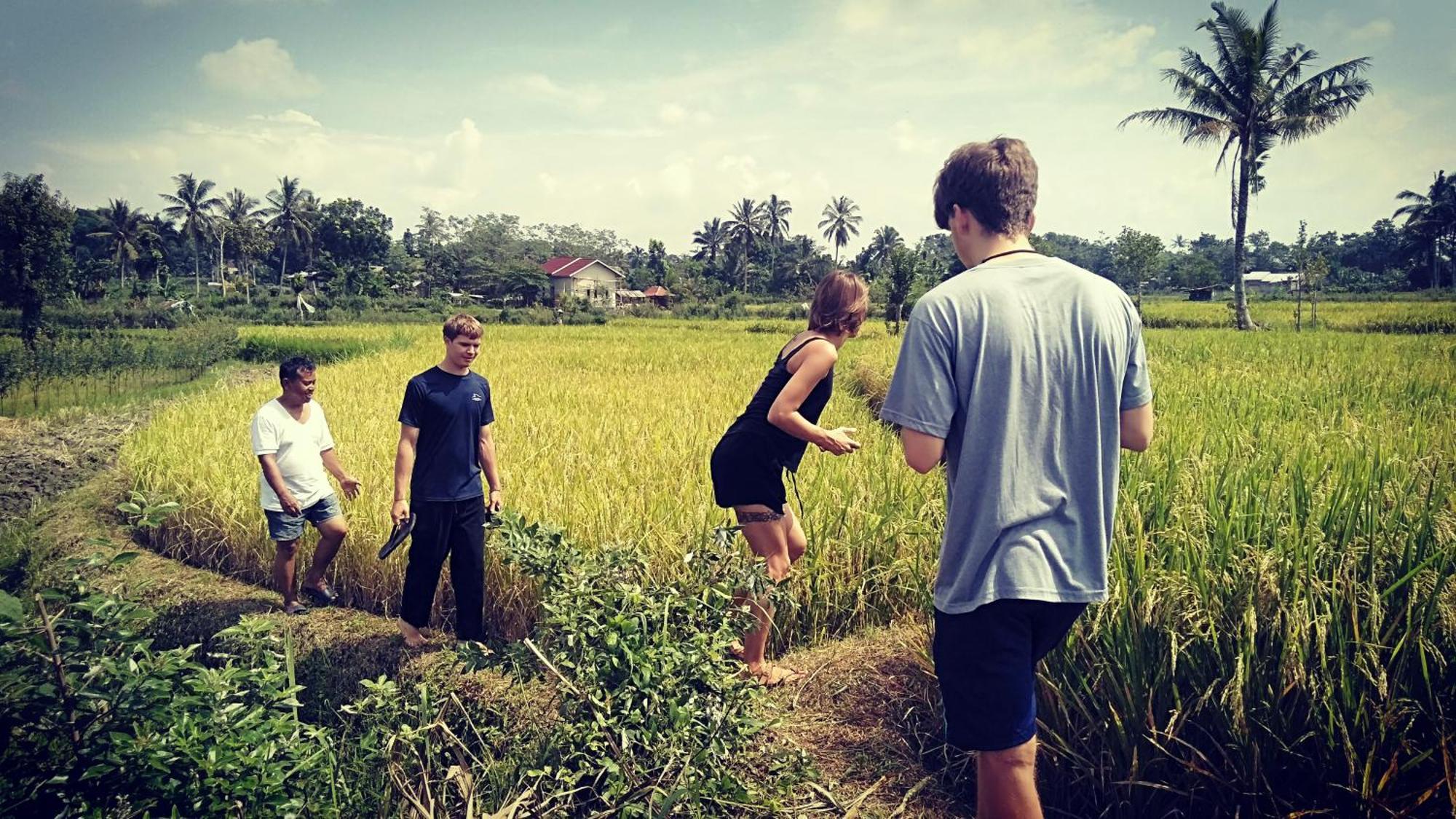 Bujak Permai Villa Matahari Lombok Ntb 普拉亚 外观 照片
